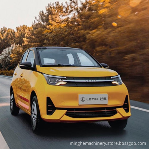 4 Four Wheel Adult Cheap Vehicles Made in China Vehicle Mini EV Car